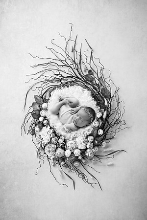 GALILEA_8DAYS-46
