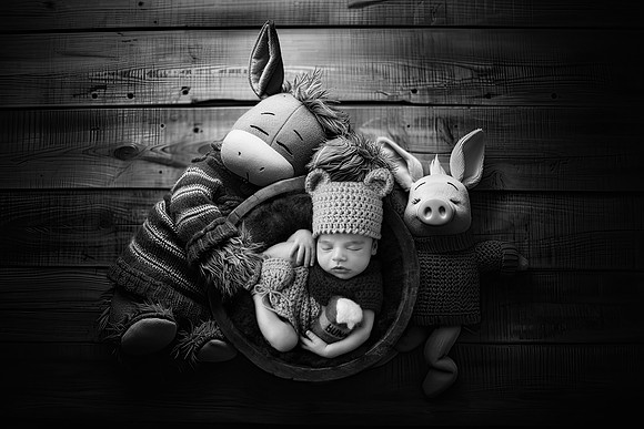 e224658brsmoothsellbw