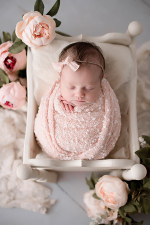 WILLOW_28
