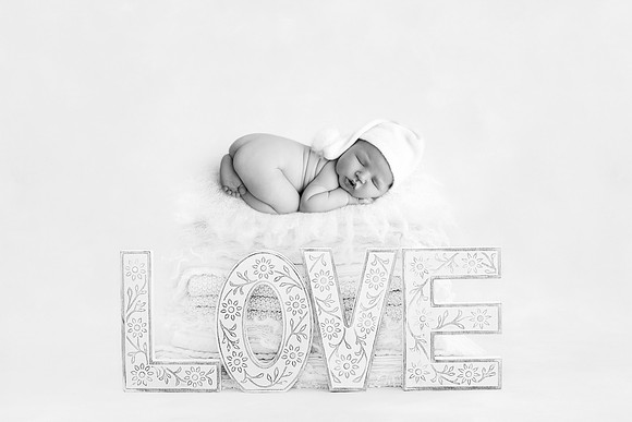 NOAH_14DAYS-13