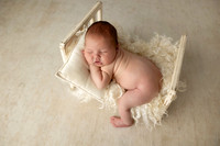 NOAH_14DAYS-14