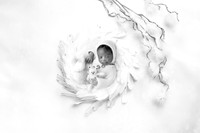 MALCOM_12DAYS-18