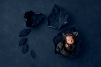 WATSON_5DAYS_8