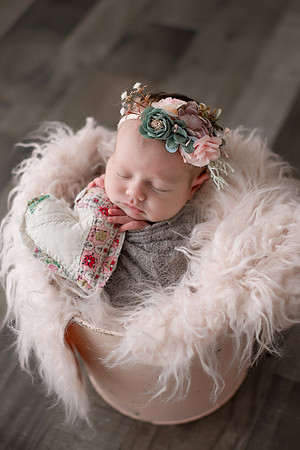 WILLOW_24