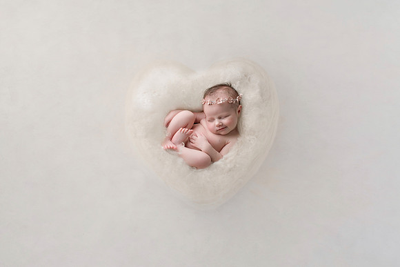WILLOW_60-2