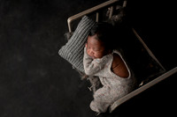MALCOM_12DAYS-9