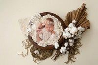 ZOEY_12DAYS_7