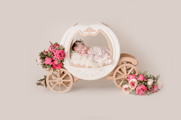 WILLOW_55