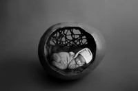 ANDERSON_10DAYS-11