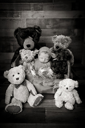 TEDDY22