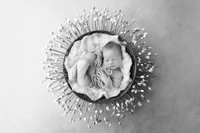 EZRA_13DAYS-16