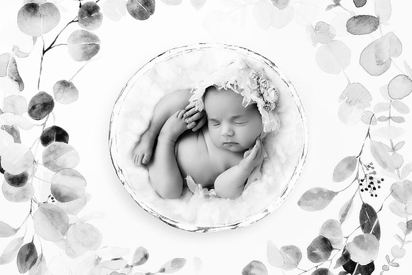 LOLA_15DAYS-35