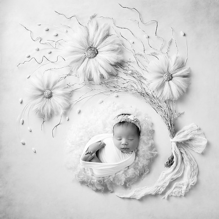 ANASTASIA_11DAYS-33