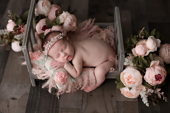 WILLOW_60