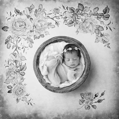 ZOEY_11DAYS_36