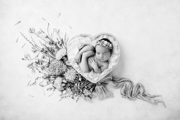 LOLA_15DAYS-19