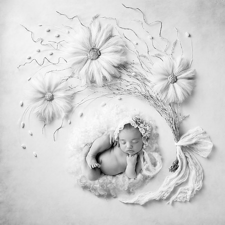 ROSALIE_14DAYS-21