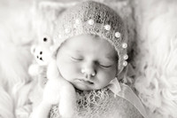 WILLOW_16