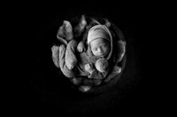 HOLDEN_13DAYS-2