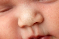 AVA_8DAYS-10