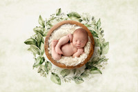 HALLOWAY_16DAYS-16