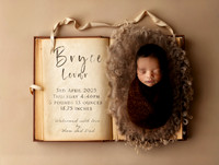 Brice Levar - 11 days