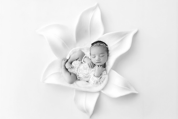 AVA_10DAYS-61