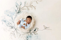 ALEXANDER_16DAYS-10