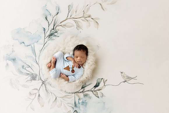 ALEXANDER_16DAYS-10