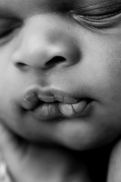 ALEXANDER_16DAYS-12