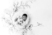 ALEXANDER_16DAYS-11
