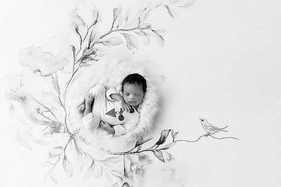 ALEXANDER_16DAYS-11