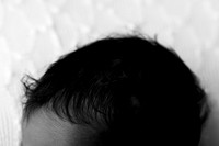 ALEXANDER_16DAYS-16