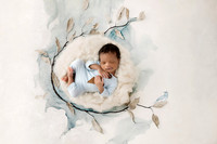 ALEXANDER_16DAYS-17