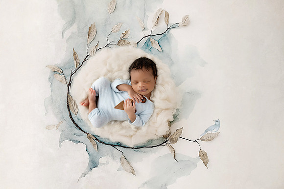 ALEXANDER_16DAYS-17