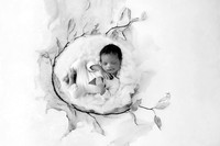 ALEXANDER_16DAYS-18