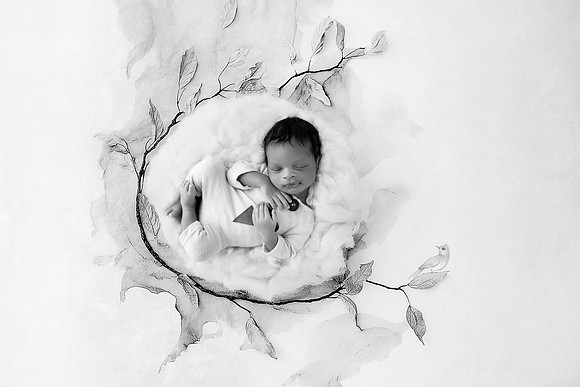 ALEXANDER_16DAYS-18
