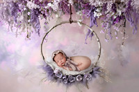 HAZEL_12DAYS-7