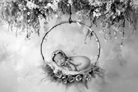 HAZEL_12DAYS-8