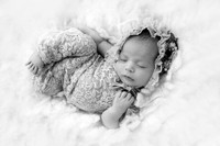 HAZEL_12DAYS-12