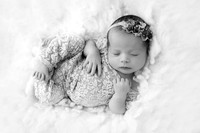HAZEL_12DAYS-14