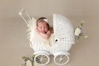 HAZEL_12DAYS-19