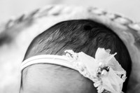 HAZEL_12DAYS-18