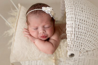 HAZEL_12DAYS-20