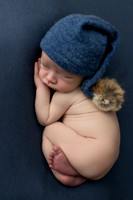 COHEN_12DAYS-4