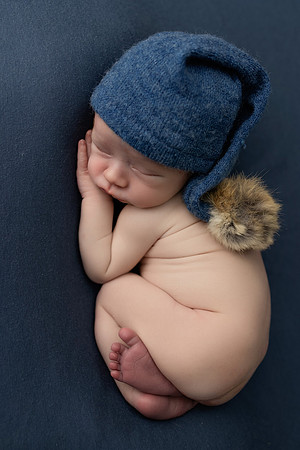 COHEN_12DAYS-4