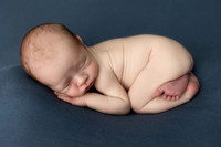 COHEN_12DAYS-5