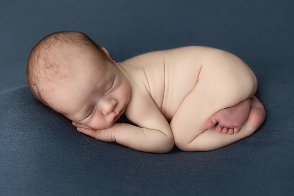 COHEN_12DAYS-5