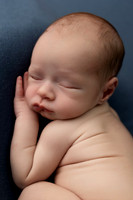 COHEN_12DAYS-6