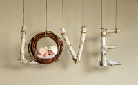 COHEN_12DAYS-7